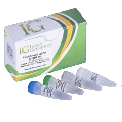 INTACT GENOMICS INC&nbsp;FastAmp qRPA SYBR Kit, 100 Reactions