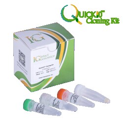 INTACT GENOMICS INC Quick10 Cloning Kit 6 Reactions, Quantity: Each of