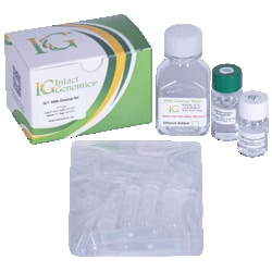 INTACT GENOMICS INC&nbsp;RNA Cleanup Kit  25 Preps