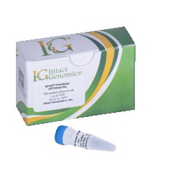 INTACT GENOMICS INC igScript™ Probe-Based qPCR master mix 1000 reactions