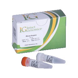 INTACT GENOMICS INC&nbsp;PEmax Enzyme 400 µg