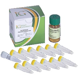 INTACT GENOMICS INC BL21(DE3)pLysS Chemically Competent Cells 12x200µl,