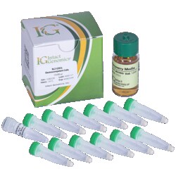 INTACT GENOMICS INC&nbsp;BL21(DE3) Electrocompetent Cells 12x50µl