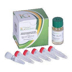 INTACT GENOMICS INC Methionine Auxotrophic EHA105 Agrobacterium Chemically