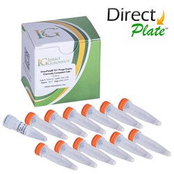 INTACT GENOMICS INC DirectPlate TG1 Phage Display Chemically Competent