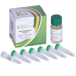 INTACT GENOMICS INC&nbsp;MSU440 Agrobacterium ElectroCompetent Cells 6x50µl
