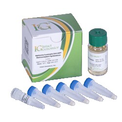 INTACT GENOMICS INC Methionine Auxotrophic EHA105 Agrobacterium ElectroCompetent