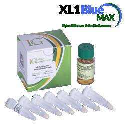 INTACT GENOMICS INC ig XL1 Blue Max ElectroCompetent Cells 6x50µl, Quantity: