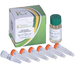INTACT GENOMICS INC K599 Agrobacterium Chemically Competent Cells 6x50µl