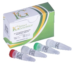 INTACT GENOMICS INC&nbsp;ig Recombinase Polymerase Amplification (RPA) Kit v1, 100 Reactions