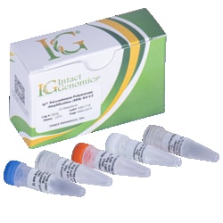 INTACT GENOMICS INC&nbsp;ig Recombinase Polymerase Amplification (RPA) Kit v2, 100 Reactions