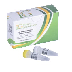 INTACT GENOMICS INC&nbsp;Bsu DNA Polymerase Large Fragment 1000 Units (5 units/µl)