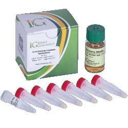 INTACT GENOMICS INC Ar.A4 Agrobacterium Chemically Competent Cells 18x50µl,