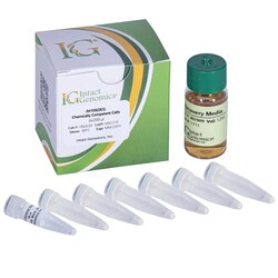 INTACT GENOMICS INC JM109 (DE3) Chemically Competent Cells 12x200µl, Quantity: