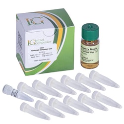 INTACT GENOMICS INC&nbsp;HB101 Chemically Competent Cells 24x100µl