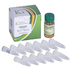 INTACT GENOMICS INC&nbsp;MG1655 Chemically Competent Cells 12x50µl