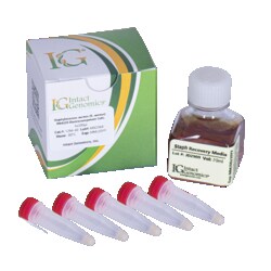 INTACT GENOMICS INC&nbsp;Staphylococcus aureus (S. aureus) RN4220 Electrocompetent Cells 5x 200µl