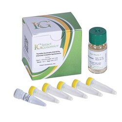 INTACT GENOMICS INC Thymidine Auxotrophic EHA105 Agrobacterium Chemically