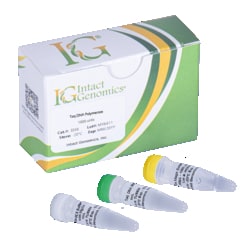 INTACT GENOMICS INC&nbsp;Taq DNA Polymerase 5000 Units