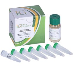 INTACT GENOMICS INC MSU440 Agrobacterium Chemically Competent Cells 6x50µl