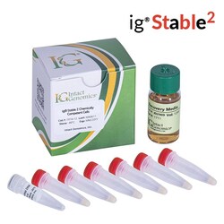INTACT GENOMICS INC ig Stable 2 Chemically Competent Cells 24x50μl