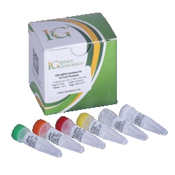 INTACT GENOMICS INC sgRNA Synthesis Kit for Cas9 Nuclease 10 Reactions (20 µl RXN Volume)