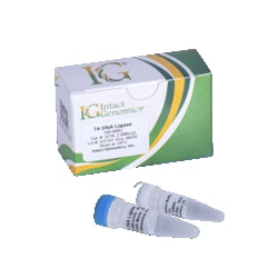 INTACT GENOMICS INC&nbsp;T4 DNA Ligase 100,000 Units (400 units/µl)