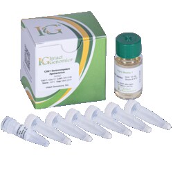 INTACT GENOMICS INC C58C1 Agrobacterium ElectroCompetent Cells 6x50µl,