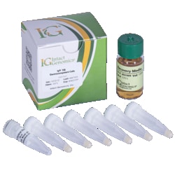 INTACT GENOMICS INC&nbsp;ig 10B Electrocompetent Cells 12x100µl