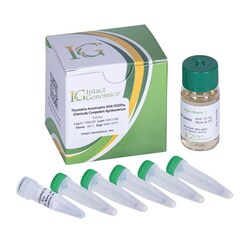 INTACT GENOMICS INC Thymidine Auxotrophic EHA105D Agrobacterium Chemically