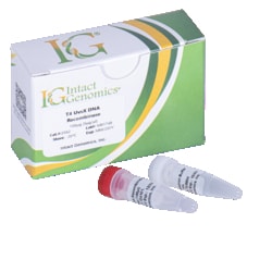 INTACT GENOMICS INC&nbsp;T4 UvsX DNA Recombinase 500µg