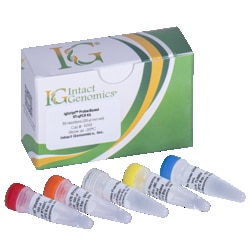 INTACT GENOMICS INC&nbsp;Probe-Based RTqPCR Kit 100