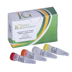 INTACT GENOMICS INC&nbsp;igScript&trade; First Strand cDNA Synthesis Kit 25 Reactions