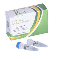 INTACT GENOMICS INC&nbsp;Exonuclease III 25000 Units (100 units/µl)