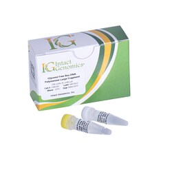 INTACT GENOMICS INC Bsu DNA Polymerase Large Fragment, Glycerol Free 1000 Units (5 units/µl)
