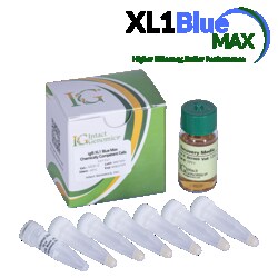 INTACT GENOMICS INC ig XL1 Blue Max Chemically Competent Cells 24x50µl