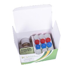 INTACT GENOMICS INC Agrobacterium ElectroCompetent Cells Combo Pack