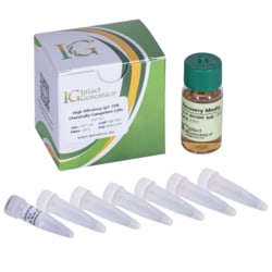 INTACT GENOMICS INC&nbsp;ig 10B Chemically Competent Cells (High Efficiency) 1x96 well plate - 20µl/well