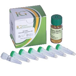 INTACT GENOMICS INC&nbsp;BL21(DE3) Chemically Competent Cells  6x200µl