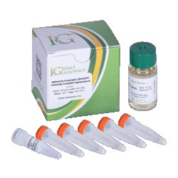 INTACT GENOMICS INC Methionine Auxotrophic LBA4404 Agrobacterium Chemically