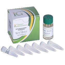 INTACT GENOMICS INC GV3101 Agrobacterium ElectroCompetent Cells 10x50µl,