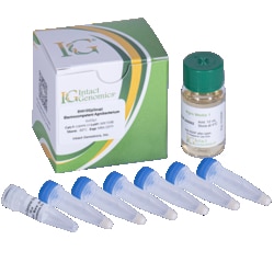 INTACT GENOMICS INC&nbsp;EHA105 (pSoup) Agrobacterium ElectroCompetent Cells 6x50µl