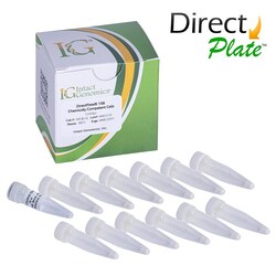 INTACT GENOMICS INC&nbsp;DirectPlate 10B Chemically Competent Cells  12x50µl