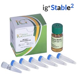 INTACT GENOMICS INC ig Stable 2 Electrocompetent E. coli Cells 12x50μl