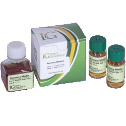 INTACT GENOMICS INC&nbsp;Recovery Media 8x12mL