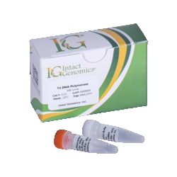 INTACT GENOMICS INC&nbsp;T4 DNA Polymerase 500 Units