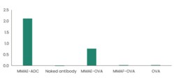 Sino Biological&nbsp;Anti-MMAE Antibody, Mouse MAb