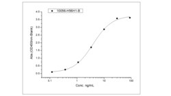 Sino Biological&nbsp;Recombinant Human BAFF/BLyS/TNFSF13B Protein (Trimer, His & AVI Tag), Avi-tag Biotinylated, MALS-verified