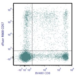 Cytek Biosciences Inc&nbsp;cFluor R668 aHu CD57 Anti