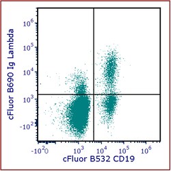 cFluor B690 aHu Ig Lambda Anti